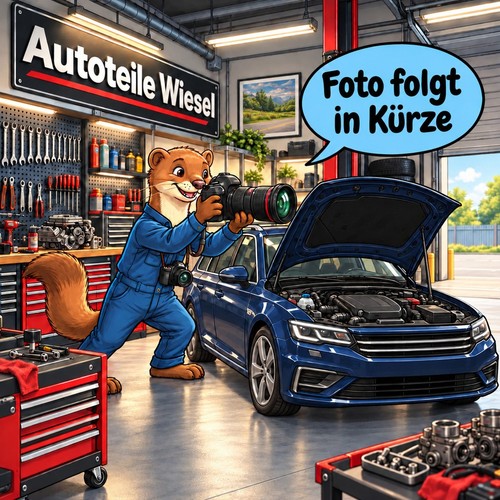 Kühler motorkühlung - kühler,