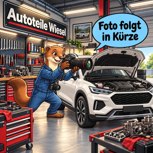 Kühler motorkühlung - kühler,